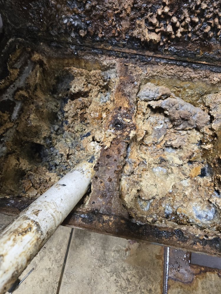 I think I am going to be sick!